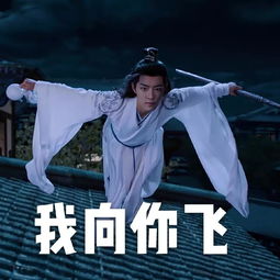 表情包陈情令蓝忘机x魏无羡