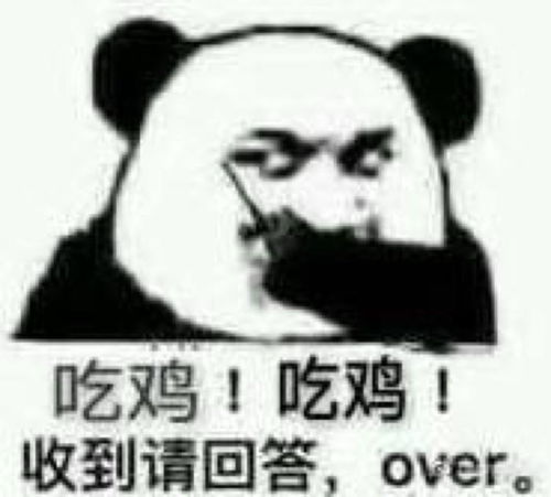 有表情包的微信群吗