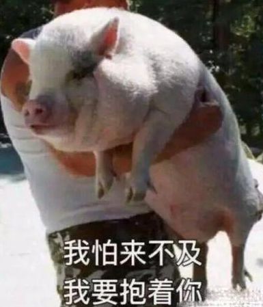 贵了不少德阳人天天吃为啥会涨价