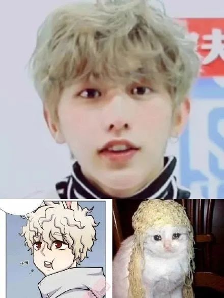 当蔡徐坤遇上表情包是个什么体验