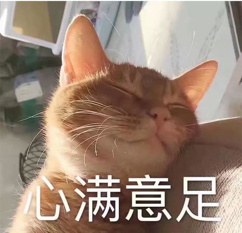 在accd学娱乐设计,需要提前准备些什么东西