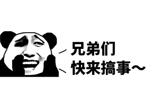 放松时刻,爆笑来袭,新段子贼好笑