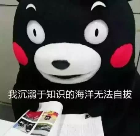 总是羡慕别人家的自媒体粉丝多没有用,要去思考自己的粉丝为啥少