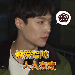 exo张艺兴lay表情包