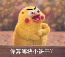 鹦鹉兄弟骂人表情包你算哪块小饼干