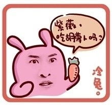 尔康表情被玩坏的内地咆哮王表情包