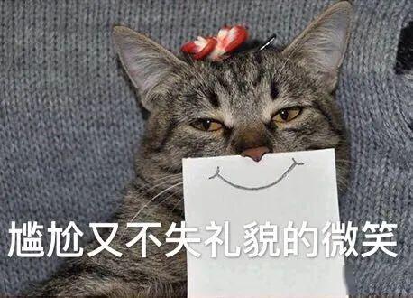 给狗子起名要慎重,不然尴尬的可是你