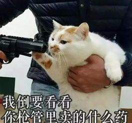 这里是水弹wargame玩家的购物天堂蛋酷