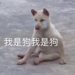 快来斗图第一弹