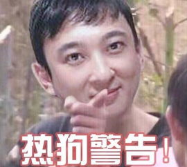 pdd邪魔退散表情包王思聪