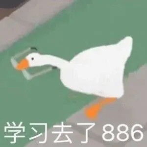 大鹅小表情