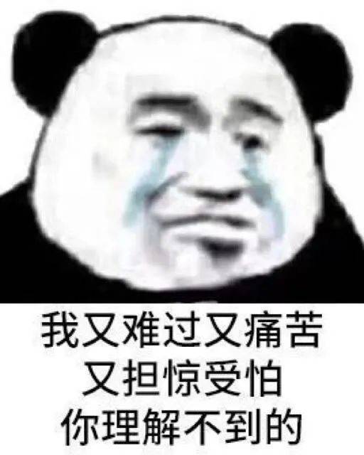 熊猫头表情包i发生甚么事了