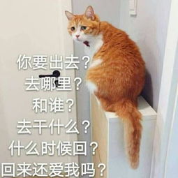 2018最新微信头像文字图片伤感你要不要来我的梦里