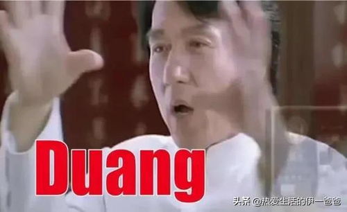 玄学娱乐圈,成龙的广告,鲁豫的采访,张学友的演唱会,不得不服