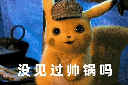 什么皮卡丘,用我们重庆话来说斗是一只雷老鼠