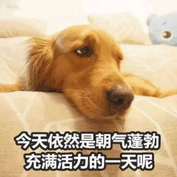 imfine真的不是我很好慎用