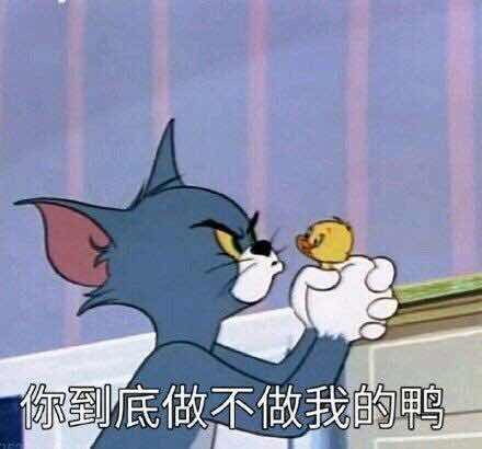 当猫和老鼠看到自己的表情包时二十