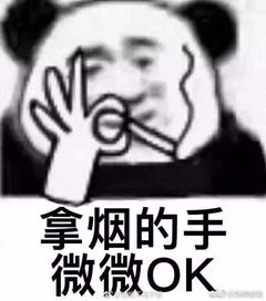 xxxxl版的绝地求生400人荒岛吃鸡最多能容纳1000名玩家