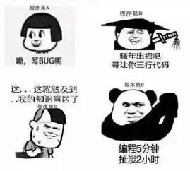 程序员的项目周期表情包版