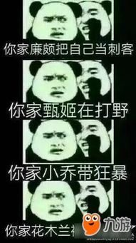 生活斗图表情包王者荣耀