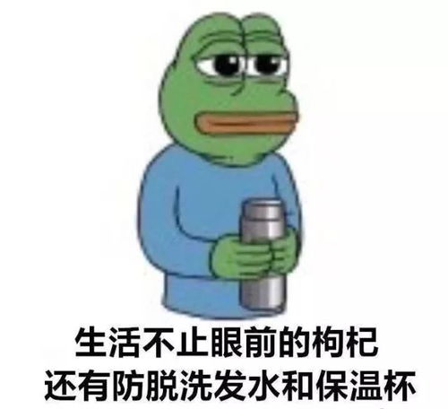 佛系生活不止眼前的枸杞,还有诗和大枣