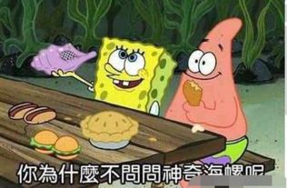 嘿请你用一句话证明你看过海绵宝宝