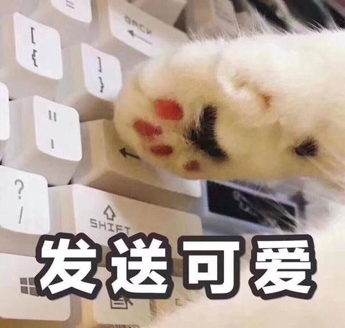 韩庚人品有问题林更新抱大腿黑料大盘点来了