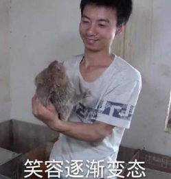 我的收藏夹