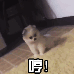 搞笑gif趣图美女,我终于知道,原来好身材都是锻炼出来的