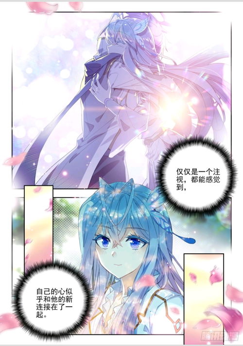 哔哩哔哩专栏