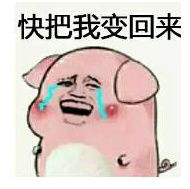 抖音傲娇生气变猪表情包到哪下载抖音傲娇生气变猪表情包最新下载地址分享
