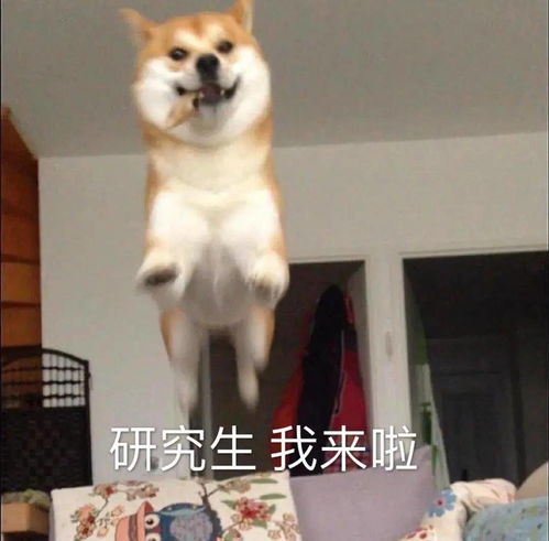 产品视传交互服装环境设计考研复试面试,导师一般会问哪些问题
