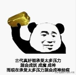 生活,其实从未停止过扯淡