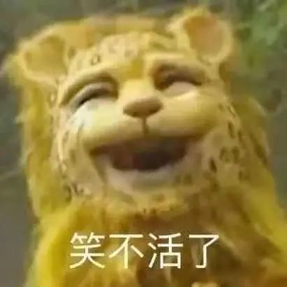 开年第一顶流你的朋友圈被金钱豹刷屏了吗各种版本笑哭