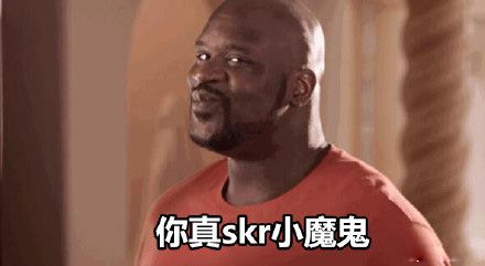 木啊的表情包什么意思skr