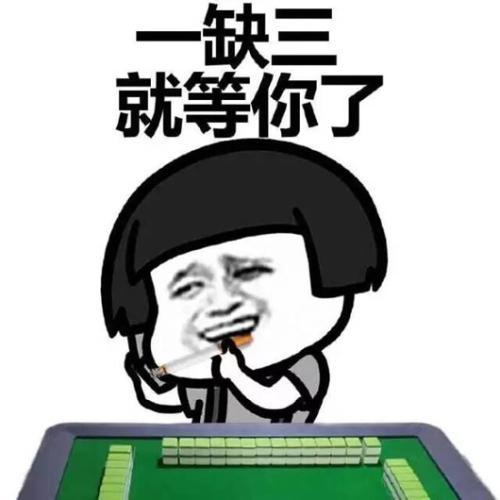 不认识汉字也不耽误老外打麻将不认识汉字也不耽误老外打麻将跨越语言的文化交流