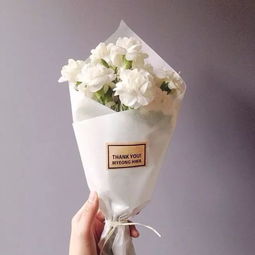 背景图道理我都懂可感情从不讲道理