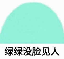 无话可说表情包搞笑兰兰
