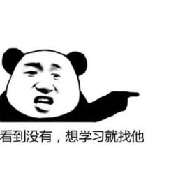 无水印熊猫头表情包小伙伴们,快出来看我带来了什么