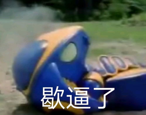 哔哩哔哩专栏