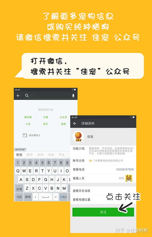 猫狗表情包微信公众号微信公众号