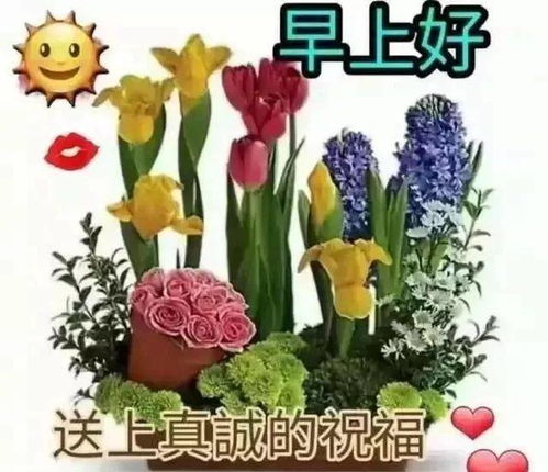 中老年表情包,感恩微信,让我们每天在问候里相遇