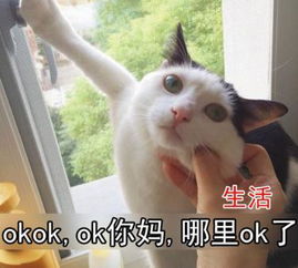 生活和我,生活永远压着我