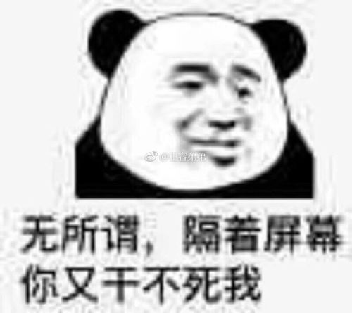 表情包我都懒得跟你斗