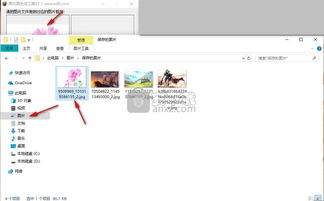 黑白图生成工具下载v1.01免费版安下载