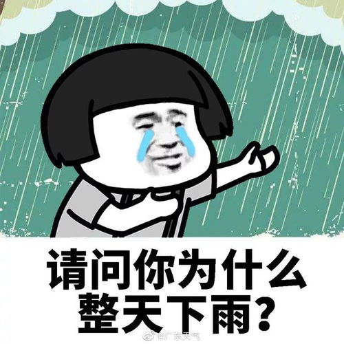 闪亮登场图片表情包暴雨