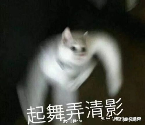 厉害图片表情包厉害