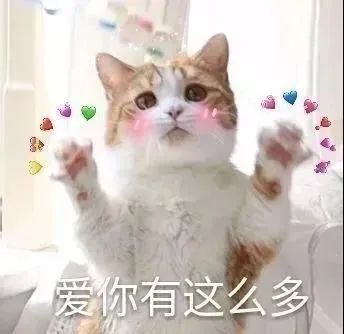 表情包和男朋友聊天时用的超可爱猫咪表情包