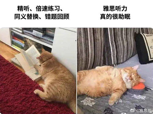 别人练雅思听力vs我练雅思听力
