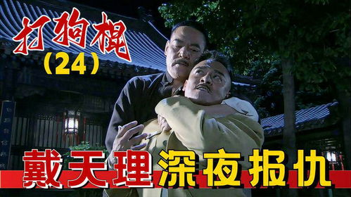 打狗棍24戴天理深夜单挑那图鲁,意外得知丢儿真相